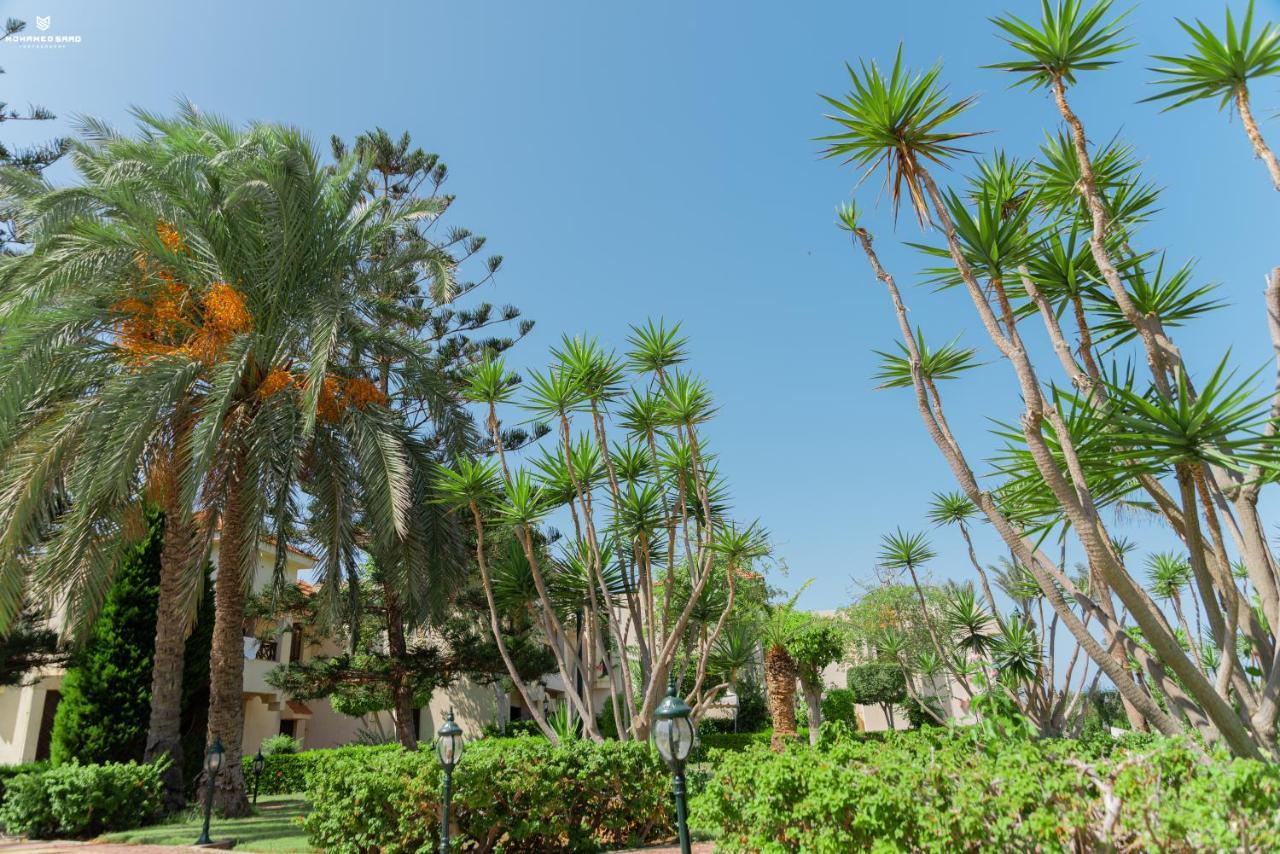 Marhaba Resort Port Said Exterior foto